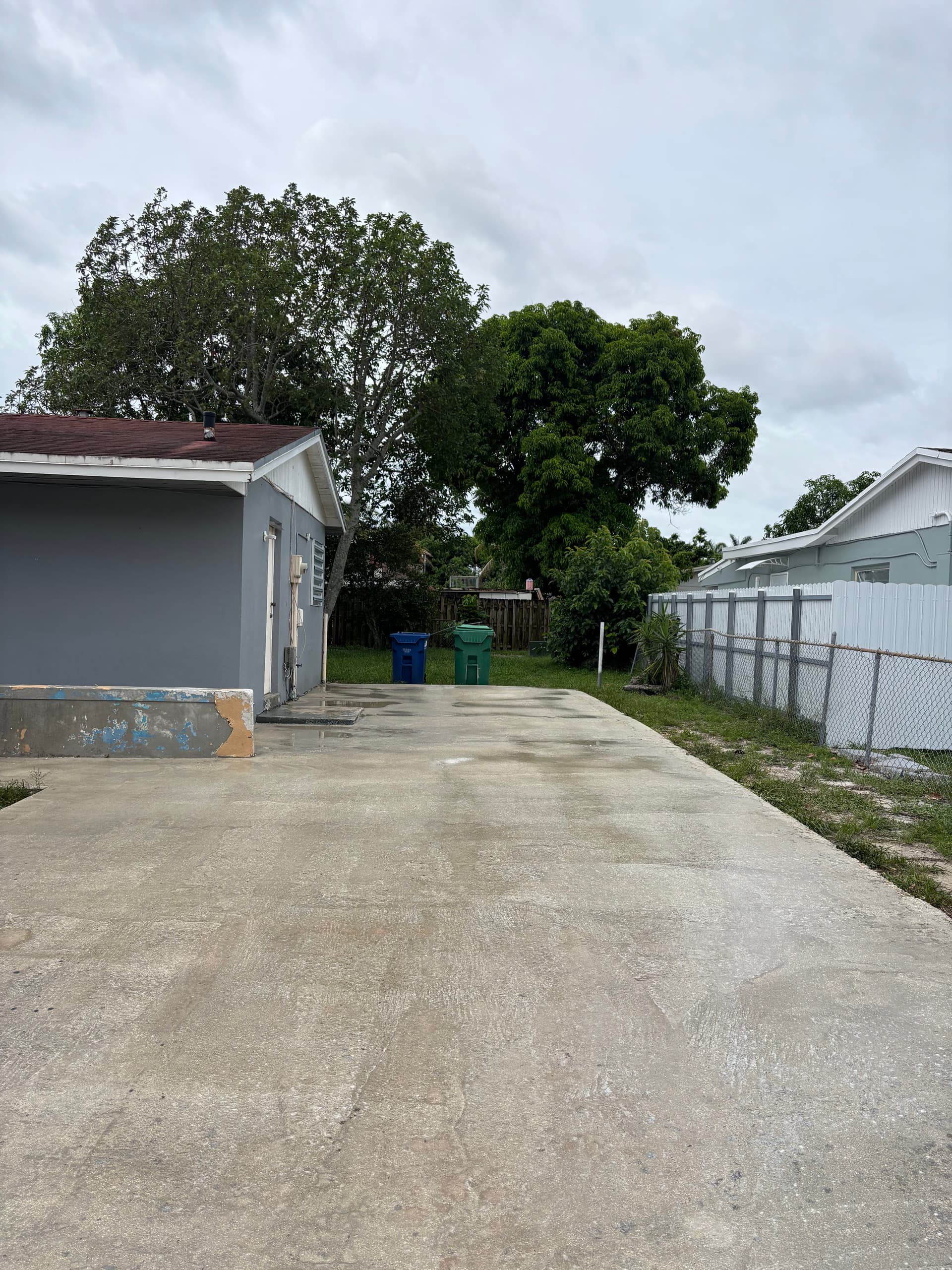 Gallery photos for Years of Mold and Algae Gone After a Full Driveway Wash: Image #3