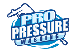 Pro Pressure Washing Logo